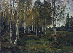Björkskog på hösten