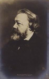 Ferdinand Freiligrath (1810-1876), tysk poet (svartvitt foto) av German Photographer