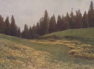 Äng på Feldberg, Schwarzwald, Tyskland (färgfoto) av German Photographer