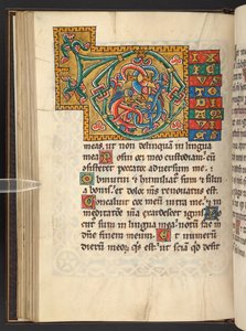 Lägg till. 60629, f.43v Stora inramade initialer i guld och färger med blad och ibland zoomorfisk och antropomorfisk ornament (vellum) av German School