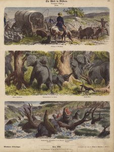 Afrika (färgad gravyr) av German School