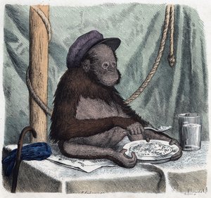 En utbildad orangoutang (orangutang, orangoutang, orangutang) äter ris med en sked. I När någon reser är detta vad han kan berätta, tysk saga av Franz Wiedemann av German School