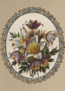 Anemoner (kromolit) av German School