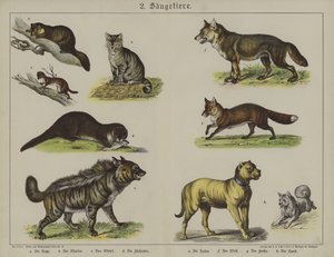Djur (färg litho) av German School