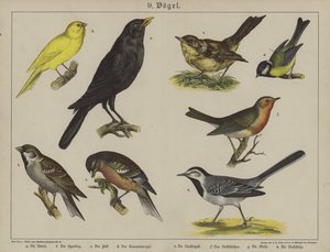 Djur (färg litho) av German School
