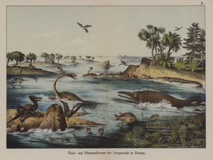 Djur och växter från juraperioden i Europa (färg litho) av German School