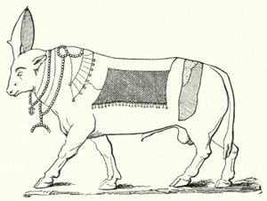 Apis, helig tjur från det antika Egypten (gravyr) av German School