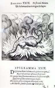 Såsom salamandern lever i eld, så även stenen, emblem XXIX från Atalanta fugiens av Michael Maier, 1617 av German School