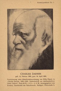 Charles Darwin (1809-1882), engelsk naturforskare (litografi) av German School