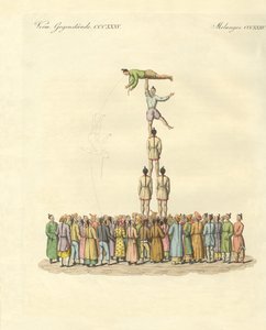 Kinesisk bateleus (färgad gravyr) av German School