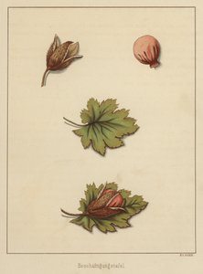 Hantverk (lito i färg) av German School