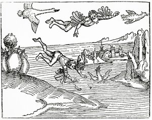 Daedalus, som flyr från Kreta med sin son, Ikaros, ser honom falla till sin död, 1493 (träsnitt)