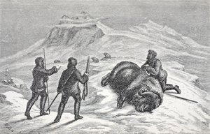 Myskoxens död, pub. London 1874 av German School