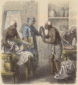 Balsamering av djur i det antika Egypten (färgad gravyr) av German School