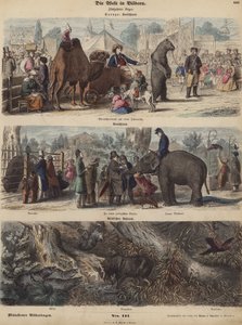 Europa (färgad gravyr) av German School