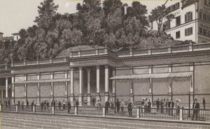 stenfjäder (litho) av German School