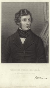 Friedrich Woehler av German School