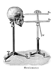 Goniometer som mäter mänsklig skalle av German School