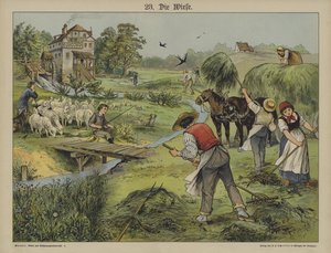 Gräs (färg litho) av German School