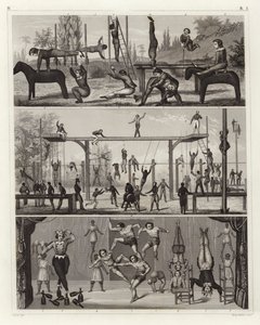 Gymnastik och akrobatik (gravyr) av German School
