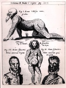 Hårig man och vild man, illustration från Physica Curiosa av Gaspar Schott (1608-66) av German School