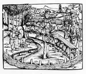 Glada makar som sköter bin, illustration från Georgikerna av Virgil, bok IV, från Sebastian Brants (1457-1521) upplaga, publicerad 1502 av German School