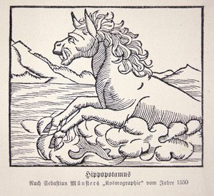 Flodhäst från Sebastien Münsters 