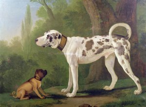 Hund och terrier av German School