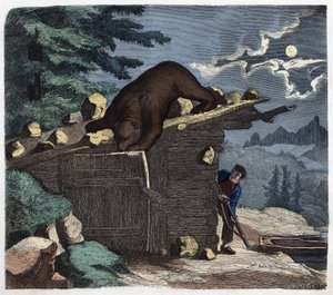 Jägare som vill döda björnen från alpskogen. I "" Wenn Jemand eine Reise thut, so kann er was erzahlen"" (När någon reser, detta är vad han kan berätta), tysk saga av Franz Wiedemann av German School