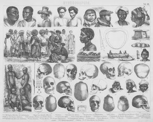Illustration för Bilder-Atlas: Raser och dödskallar (gravyr) av German School