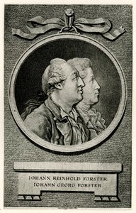 Johann Georg Forster av German School