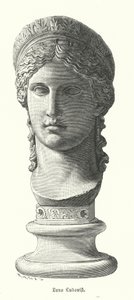 Juno Ludovisi, antikt romerskt kolossalt marmorhuvud föreställande Antonina Minor, dotter till Mark Antony och Octavia Minor, som gudinnan Juno (gravyr) av German School