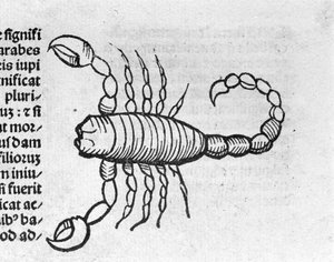 Le Scorpio - i avhandlingen av Johannes Angelo om årens stora förbindelser och deras revolutioner. Augsburg, Erhard Ratdolt av German School