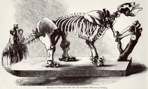 Megatherium Skelett på British Museum av German School