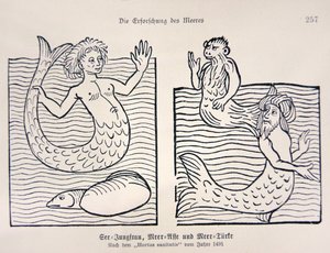 Mermaid and Merman från Jacob Meydenbachs "Hortus Sanitatis" av German School