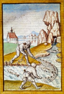 Miniatyrnätfiske från en tysk översättning av fablerna om "Kalila (Calila) och Dimna" av Bidpai. Chantilly från 1400-talet, Musee Conde av German School