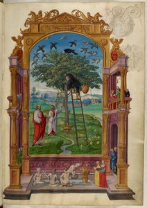 Ms Harley 3469, f.15 Gyllene träd med krona, den andra liknelsen, från 
