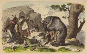 Indianer som jagar björn (färgad gravyr) av German School