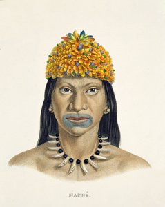 Infödd man av Mauhe-stammen, med huvudbonad av små blå och orange fjädrar, från Atlas of a Journey in Brazil av Johann Baptist von Spix (1781-1826) och Karl Friedrich Philipp Martius (1794-1868) av German School