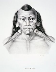 Infödd man av Maxuruna-stammen, med ansiktsdekoration, från Atlas of a Journey in Brazil av Dr von Spix och Dr von Martius av German School