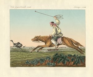 Strutsjakt (färgad gravyr) av German School