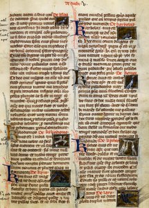 Sida från De Natura Rerum om fåglar, av Albertus Magnus (cirka 1200-1280) av German School