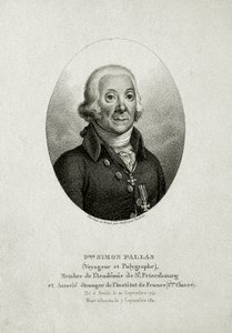 Peter Simon Pallas. (1741 – 1811) (Linjestick) av German School