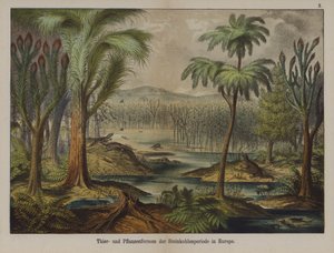 Växter och djur från kolperioden i Europa (färg litho) av German School