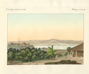 Pulu Penang (färgad gravyr) av German School