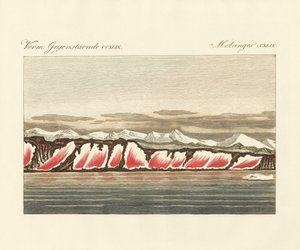 Rödfärgad snö (färgad gravyr) av German School