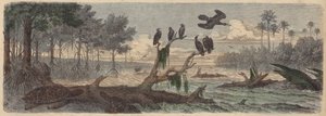 Sydamerika: mynning i Guyana (färgad gravyr) av German School