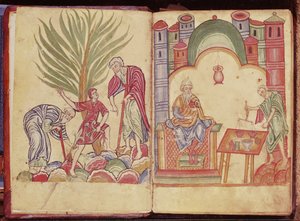 Apotekarens konst, från Apuleius Dioscorides av German School