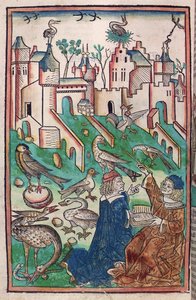 Fåglar och luftdjur, illustration från "Hortus Sanitatis" ("Hälsans trädgård") 1491 (färgat träsnitt) av German School
