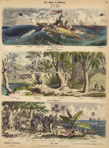 Stilla havet: skeppsbrottsöverlevande drivande på en flotte i Söderhavet; skog i New Holland (Australien); en Stillahavsö (färgad gravyr) av German School